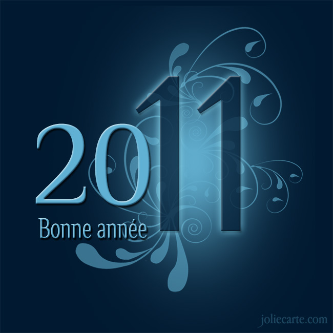 <BLINK>BONNE ANNEE 2011</BLINK>